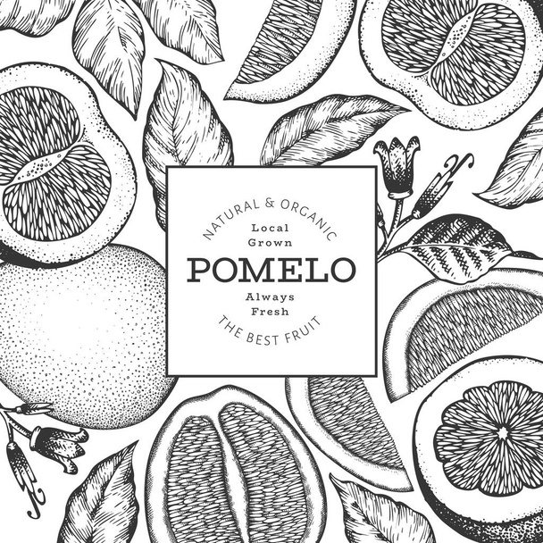 Hand drawn sketch style pomelo banner. Organic fresh fruit vector illustration. Retro fruit design template - Wektor, obraz