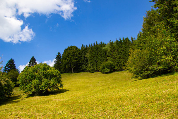 Weiden und Bäume in den bayerischen Alpen - Foto, Bild