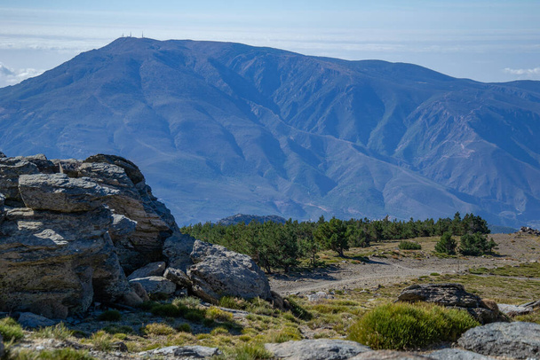 paisaje montañoso en Sierra Nevada con un bosque de rocas y pinos - Foto, imagen