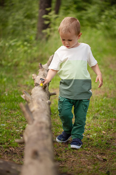 Adorable Caucasian boy of 3 years old playing with a toy car on a log in the forest - Foto, immagini