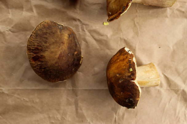 A group of mushrooms on brown paper. Different mushrooms of different sizes on brown paper. Penny bun, Boletus edulis. - Fotografie, Obrázek