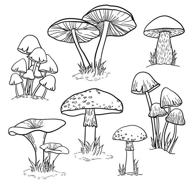 Set with mushrooms - Wektor, obraz