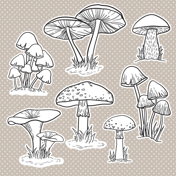 Set with mushrooms - Vektor, obrázek