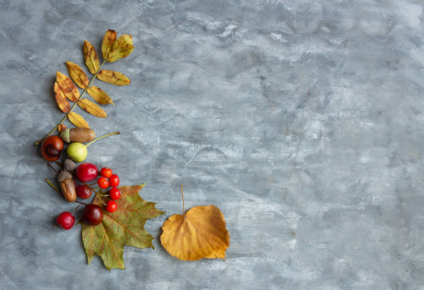 Autumn composition, dried leaves, berries on gray background, thanksgiving day concept. Flat lay, top view, copy space - Fotoğraf, Görsel