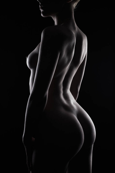 Female Nude silhouette. Young Sexy Woman Body. Naked Girl in the dark. Black and white contour - Foto, immagini