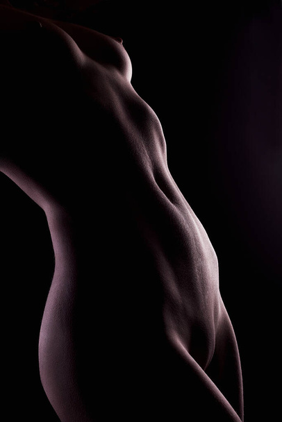 Schwarz-weiße weibliche Aktsilhouette. Nackte Frau. Mädchen mit perfekter Körperkontur - Foto, Bild