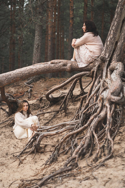 Conceptual photograph of brunettes among forest roots. Beautiful girls sit at the roots of trees and dream. Two friends walk in the woods and talk. - Photo, Image