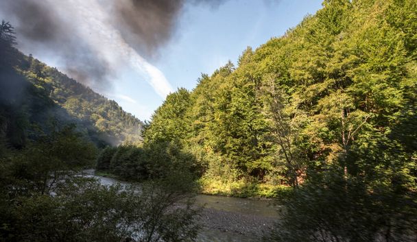 Vaserului Valley located in the intramountain depression of Maramure leads Viseu from above to Carpathian Mountains.Since 2000,there have been regular steam trains on the Vaser Valley for tourists. - Foto, imagen