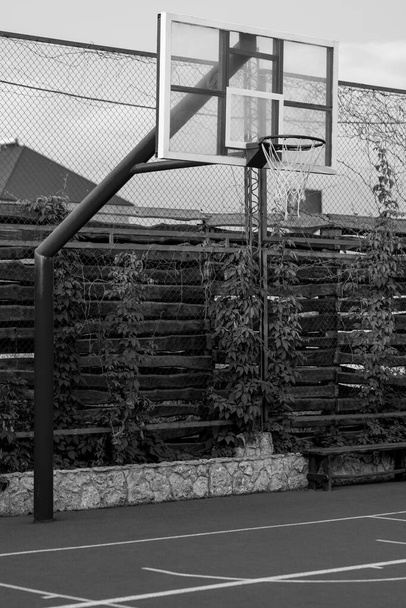 Rode basketbal met net op met groene bladeren achtergrond. Sport concept  - Foto, afbeelding