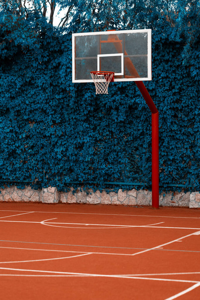 Червоний баскетбольний кільце з сіткою з фоном зеленого листя. Спортивна концепція
  - Фото, зображення