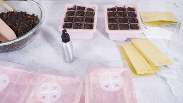 Planting seeds in seed propagator with soil. - Photo, image