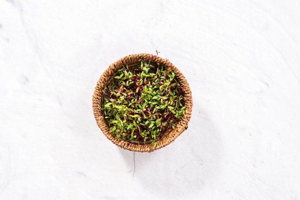 Radish microgreens with purple stems and green leaves in the basket. - Zdjęcie, obraz