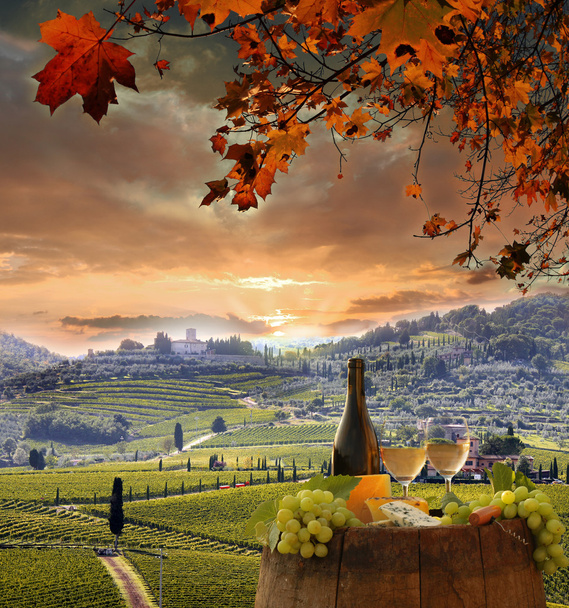 Bottle of white wine with barrel on vineyard in Chianti, Tuscany, Italy - Photo, Image