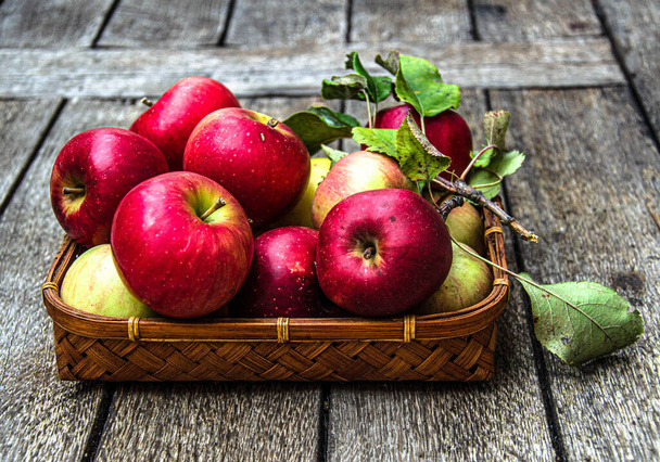 Zebrać jabłka z ogródka w wiklinowym koszu, na drewnianym stole. - Zdjęcie, obraz