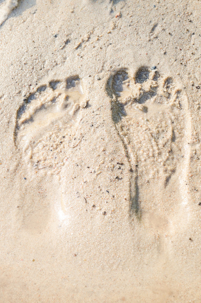 Следы на песке
 - Фото, изображение