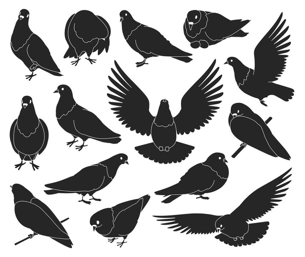 Paloma pájaro aislado conjunto negro icono. Paloma vector negro conjunto icono. Ilustración vectorial pájaro paloma sobre fondo blanco. - Vector, Imagen