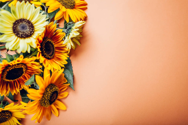 Hromada žlutě oranžových limetkových slunečnic na pozadí. Skupina podzimních letních květin. Horní pohled. Mezera - Fotografie, Obrázek