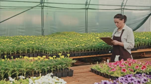 Tracking slowmo of female greenhouse worker checking growth of potted plants and flowers taking notes on clipboard - Záběry, video