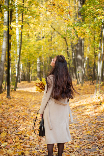 Brunette woman in autumn park and autumn leaves. Small black bag. Autumn mood. Yellow, red and green leaves. Beige coat. - Foto, Bild
