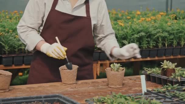 Midsection slow mo felismerhetetlen női kertész beállítása kis növény pot segítségével trowel hogy a talaj kész dolgozik üvegházakban - Felvétel, videó