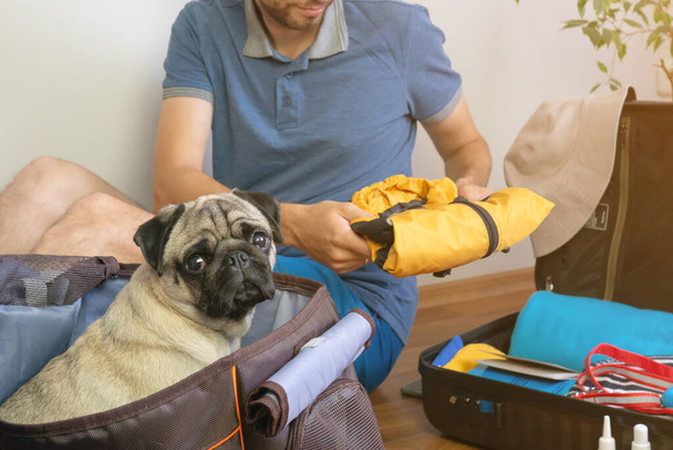 Man packing luggage for traveling with pets. Pug dog sits in dog carrier and waiting for a travel - Фото, зображення