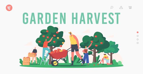 ガーデンハーベストランディングページテンプレート。果樹園でリンゴを収穫するキャラクター、果物作物を集める庭師 - ベクター画像
