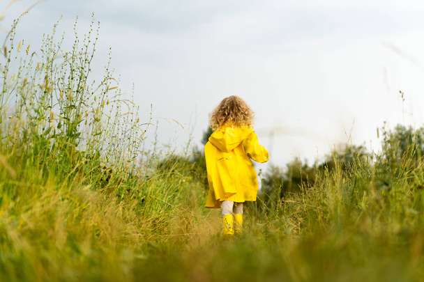 a little blonde girl runs around in a yellow raincoat in nature after the rain, rear view, happy childhood. - Foto, Imagen