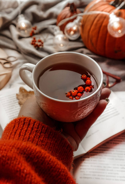 atmosfera accogliente, autunno, tè caldo, zucca - Foto, immagini