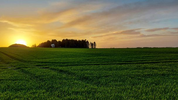 夕暮れ時のロッキルドのデンマークの農業地帯 - 写真・画像