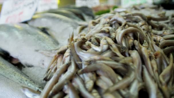 щука місце рибний ринок відкриті ринки повітря, Сіетл, США - Кадри, відео