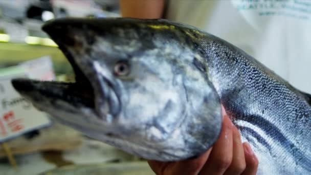 Meer Lachs Hechte Fischmarkt Seattle, Vereinigte Staaten - Filmmaterial, Video