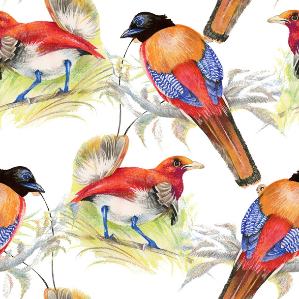 Birds and flowers seamless pattern - Foto, afbeelding
