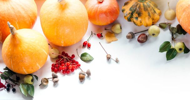 Herfst compositie met pompoenen, citroen thee, eikels, en guelder rozenbessen, Thanksgiving en Halloween banner - Foto, afbeelding