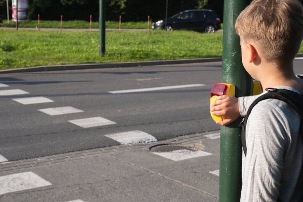 Uczeń w pobliżu przejścia dla pieszych i naciska żółty przycisk na żądanie na światłach - Zdjęcie, obraz
