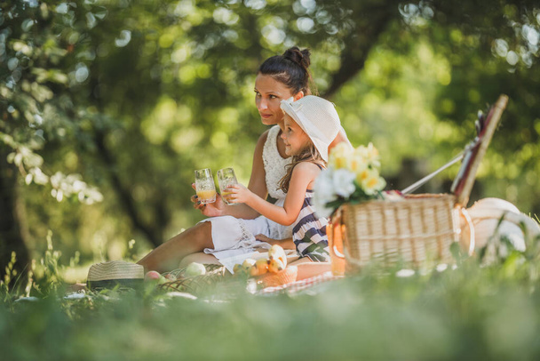 Красивая мать и ее милая дочь пьют апельсиновый сок в парке и наслаждаются пикником. - Фото, изображение