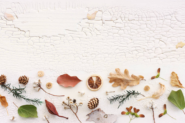 Top view image of autumn forest natural composition over wooden white background .Flat lay. Banner - Fotó, kép