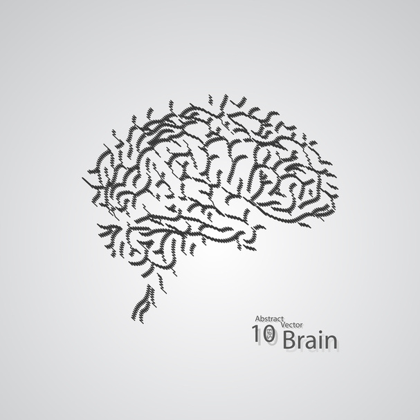Concepto creativo del cerebro humano
 - Vector, imagen