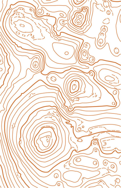 Abstrakti vektorin topografinen kartta valkoisella taustalla - Vektori, kuva