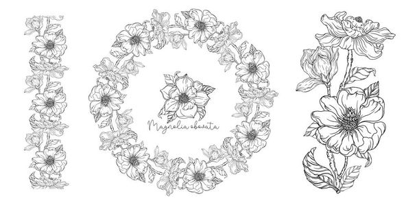 Preto e branco. Magnólia branca. Ilustração vetorial. Ilustração botânica. Flor grinalda - Vetor, Imagem