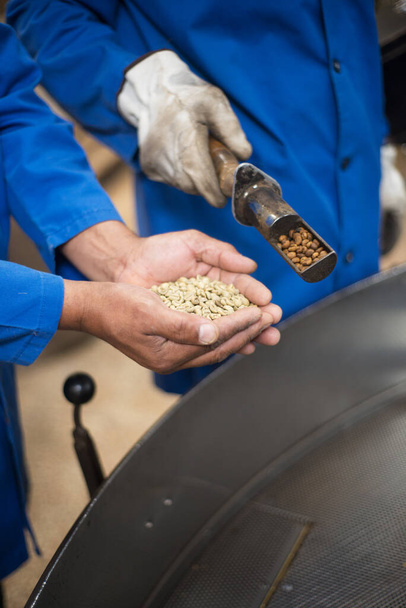 Gros plan des travailleurs mains tenant des grains de café - Photo, image