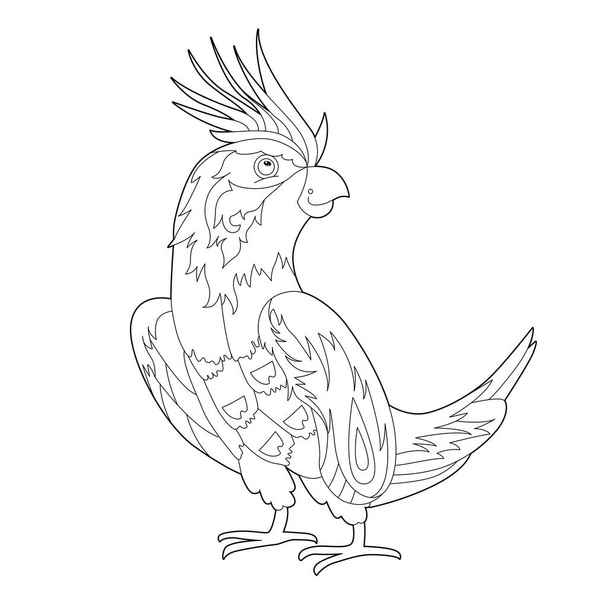 Contour linear illustration for coloring book with decorative parrot. Beautiful tropic bird,  anti stress picture. Line art design for adult or kids  in zen-tangle style, tattoo and coloring page. - Vecteur, image