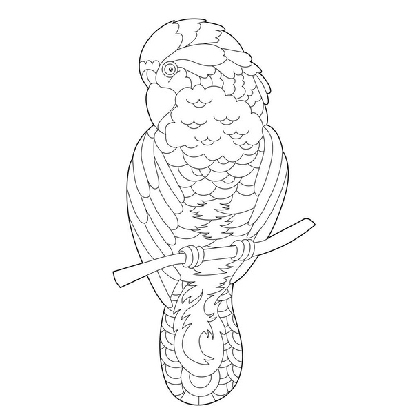 Contour linear illustration for coloring book with decorative parrot. Beautiful tropic bird,  anti stress picture. Line art design for adult or kids  in zen-tangle style, tattoo and coloring page. - Vector, Imagen