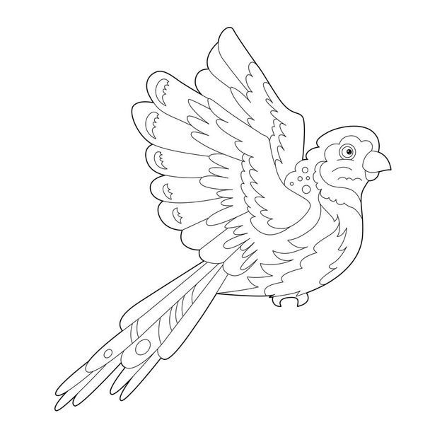 Contour linear illustration for coloring book with decorative parrot. Beautiful tropic bird,  anti stress picture. Line art design for adult or kids  in zen-tangle style, tattoo and coloring page. - Wektor, obraz