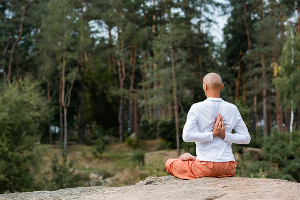 Rückansicht von Buddhisten, die Yoga in Lotus-Pose mit gefalteten Händen hinter dem Rücken praktizieren - Foto, Bild
