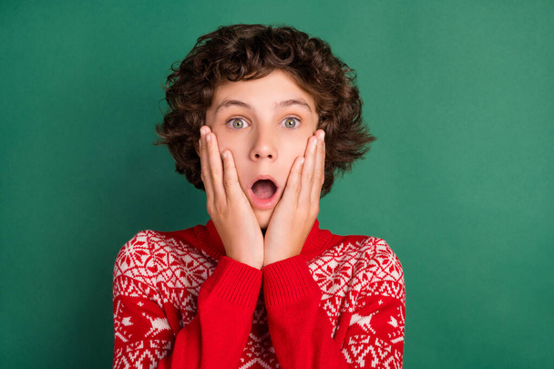 Photo of shocked speechless guy hands cheeks palms cheeks wear deer ornament sweater isolated green color background - 写真・画像
