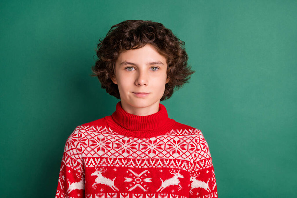 Photo of handsome curly hairstyle boy look camera wear deer ornament sweater isolated green color background - Photo, Image