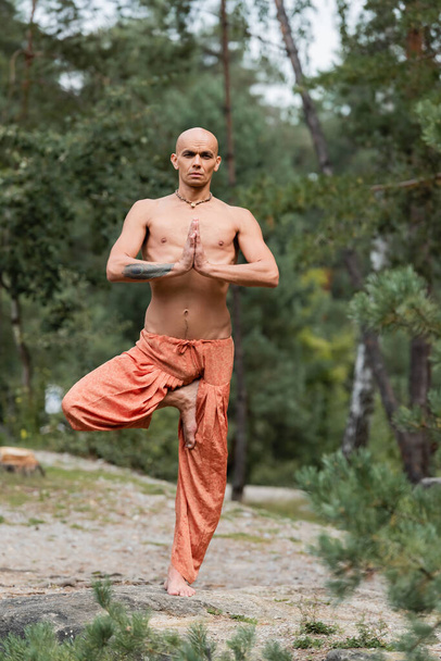 buddhist sin camisa en pantalones de harén practicando una pose de árbol de piernas al aire libre - Foto, Imagen