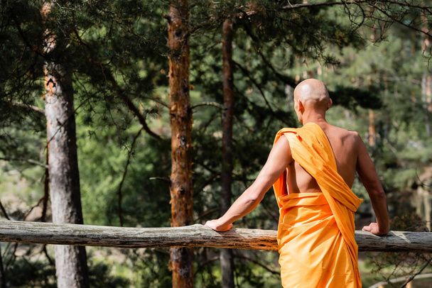 森の中の木製柵の近くに立つ伝統的なオレンジの衣姿の仏教徒の後ろ姿 - 写真・画像