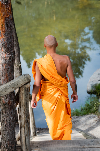 back view of buddhist monk walking on stairs in forest near lake - Photo, Image