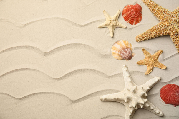 Beautiful sea stars and shells on sand, flat lay. Space for text - Foto, Bild